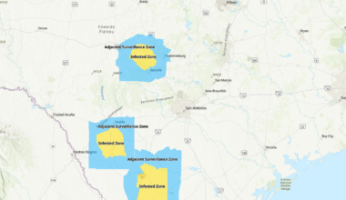TRACK: Map shows where screwworm cases are in Texas