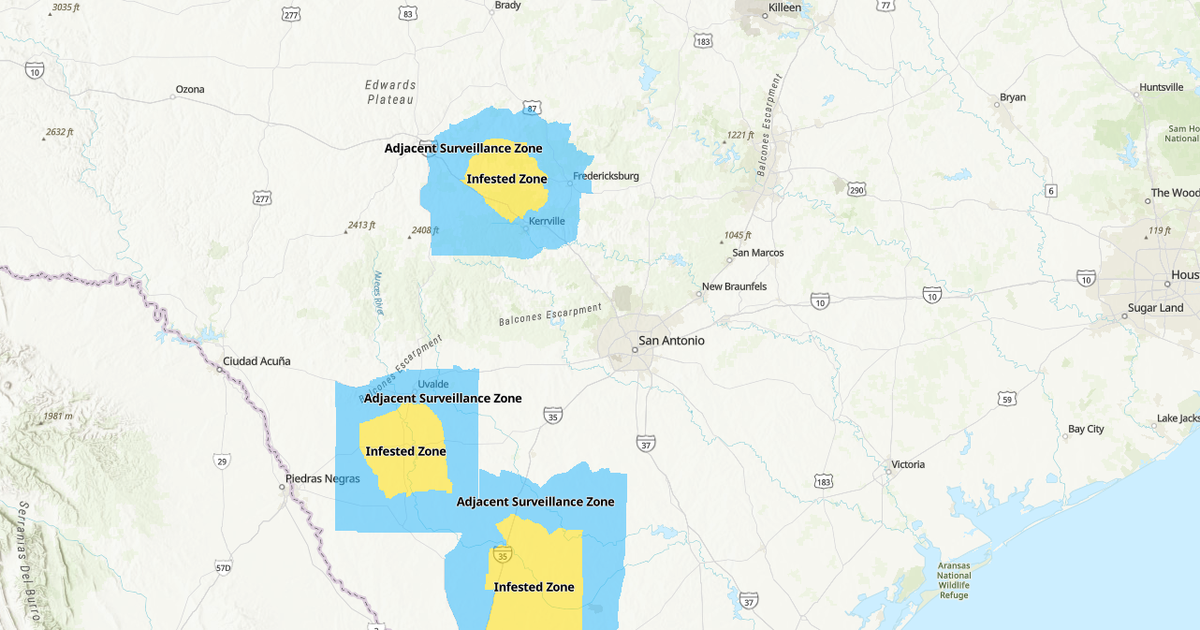 TRACK: Map shows where screwworm cases are in Texas