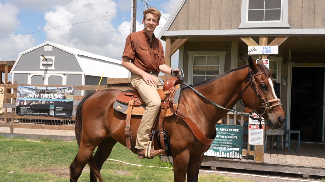 Horse Camp.png