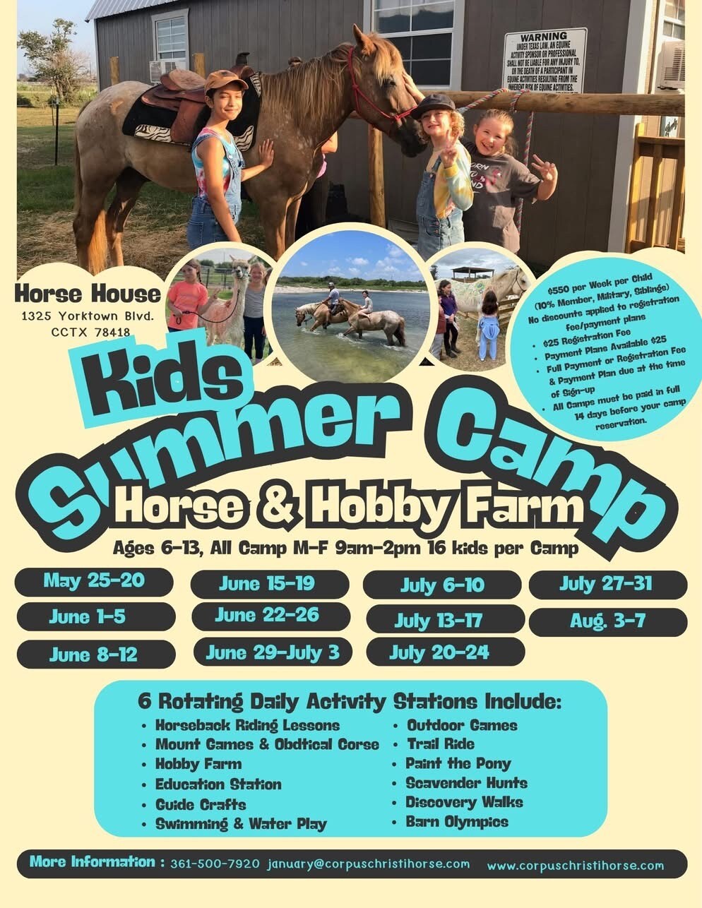 HORSE HOUSE FLYER