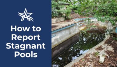 Murky Water, Hidden Hazards: Why You Should Report Stagnant Pools