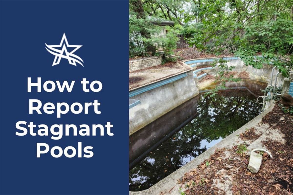 Murky Water, Hidden Hazards: Why You Should Report Stagnant Pools