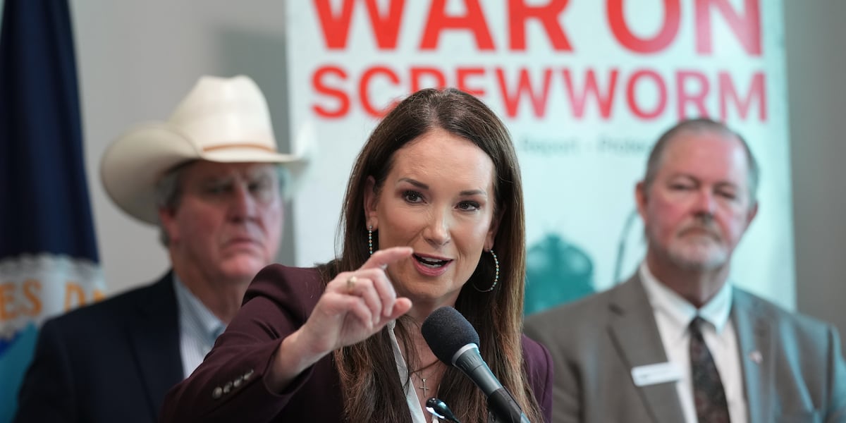 Political blame game follows as screwworm parasite threatens cattle in Texas