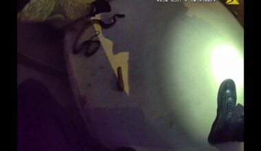Bodycam shows Texas officer using gloved hands to remove snake from neighborhood