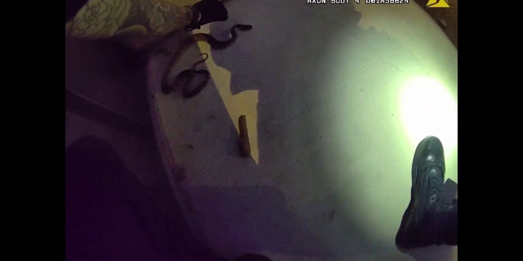 Bodycam shows Texas officer using gloved hands to remove snake from neighborhood