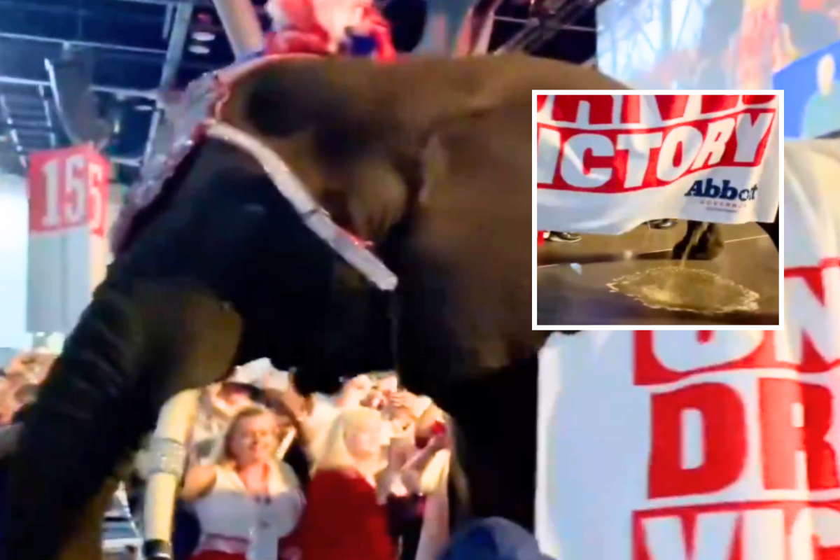 Four-Ton Elephant Urinates in Middle of Texas GOP Convention