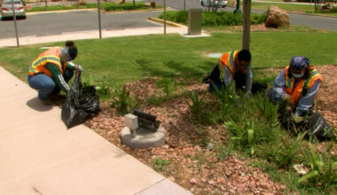El Paso non-profit gives jobs to those of all abilities, prioritizes summer safety