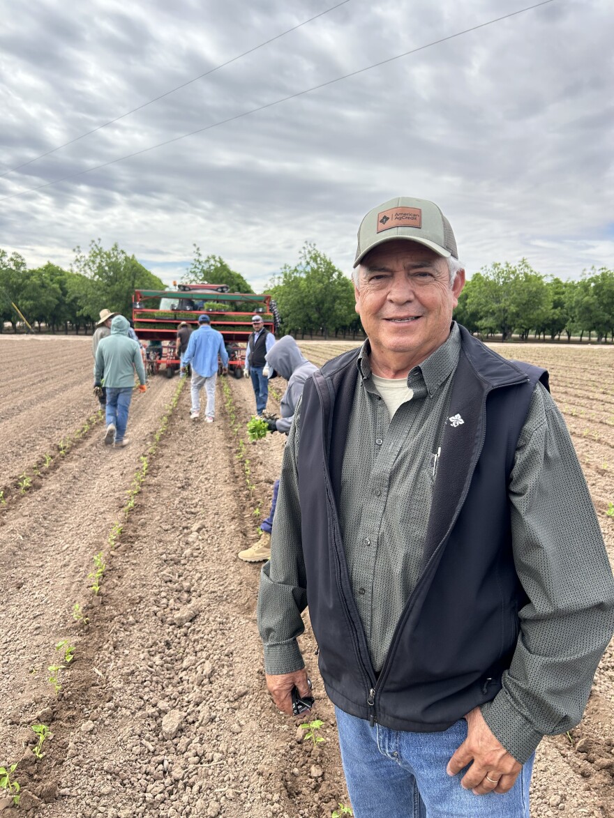Edward Ogaz, president of the New Mexico Chile Association, says "everyone has a straw" in the aquifer in southern New Mexico, but he thinks the county needs Project Jupiter's investment and he's not worried that it will be a water hog. 