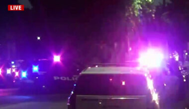 Passenger killed, driver injured after vehicle crashes into tree, catches fire on Memorial Drive