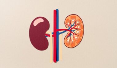Kidney removal surgery: Partial vs. radical nephrectomy