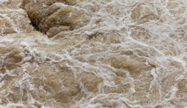 San Antonio River could flood – here's what it means