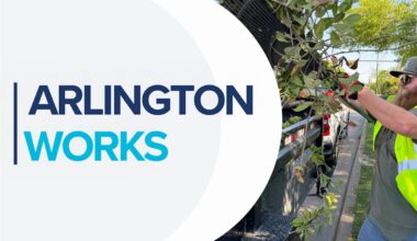 Mayor's Arlington Works Town Hall