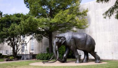The exterior of the Museum of Natural History in Dallas’ Fair Park Wednesday, June 17, 2026.