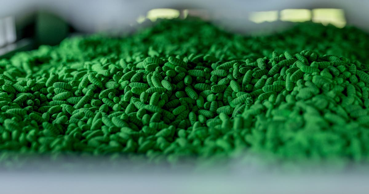 Texas Secures Federal Funding to Fight Screwworm Outbreak