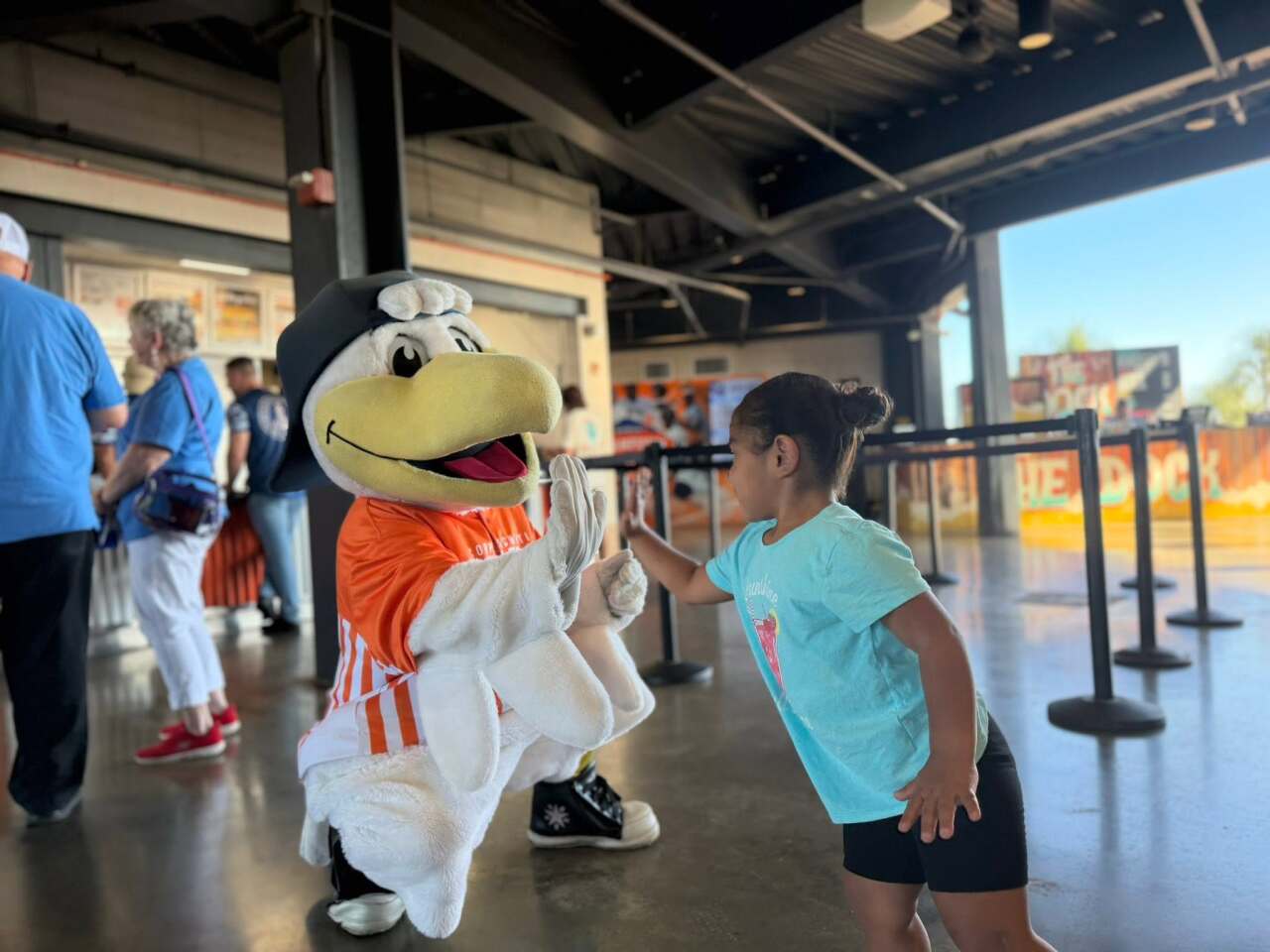 Hooks' Sammy the Seagull