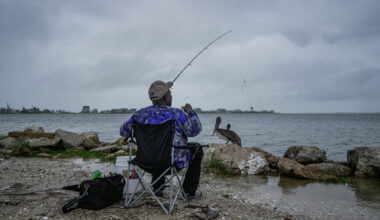 Texas Parks and Wildlife data breach affects 3M license holders