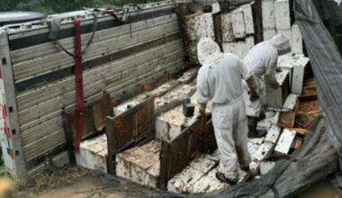 Millions of honeybees escape into rural Texas neighborhood after a semitrailer crash