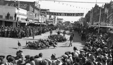 Austin's Bullock Museum exhibit explores Texas festival traditions
