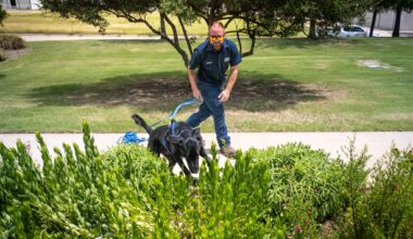Brad Blan with the Mansfield Water Utilities encourages River, a water leak detection dog, to continue searching for a hidden container of water during a demonstration in Mansfield. River can detect water leaks by sniffing out chlorine.