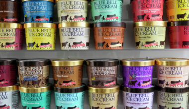 Blue Bell revives seasonal Texas favorite, Southern Blackberry Cobbler