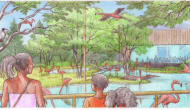 Dallas Zoo to launch biggest expansion in its history