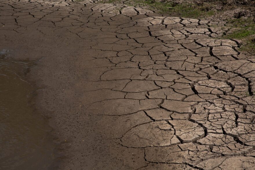 A dried-up pond in Jim Wells County, Texas.