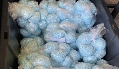 DEA asks watchdog to investigate claims that agents permitted fentanyl to hit the streets