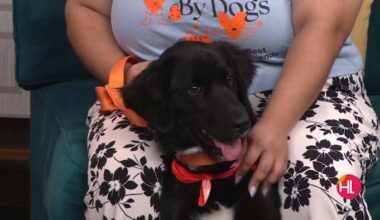 Best Friends Animal Society hosts a free pet adoption event this Saturday