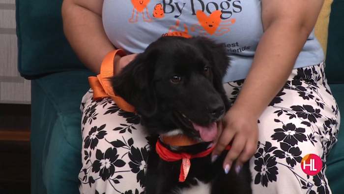 Best Friends Animal Society hosts a free pet adoption event this Saturday