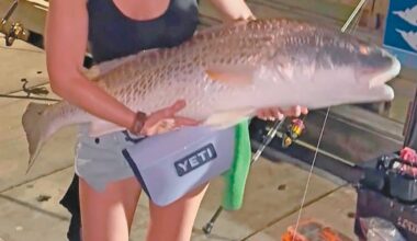Monster redfish - Port Aransas South Jetty