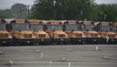 ‘We could not just pass another unfunded mandate’: Senator speaks on school seatbelt requirement