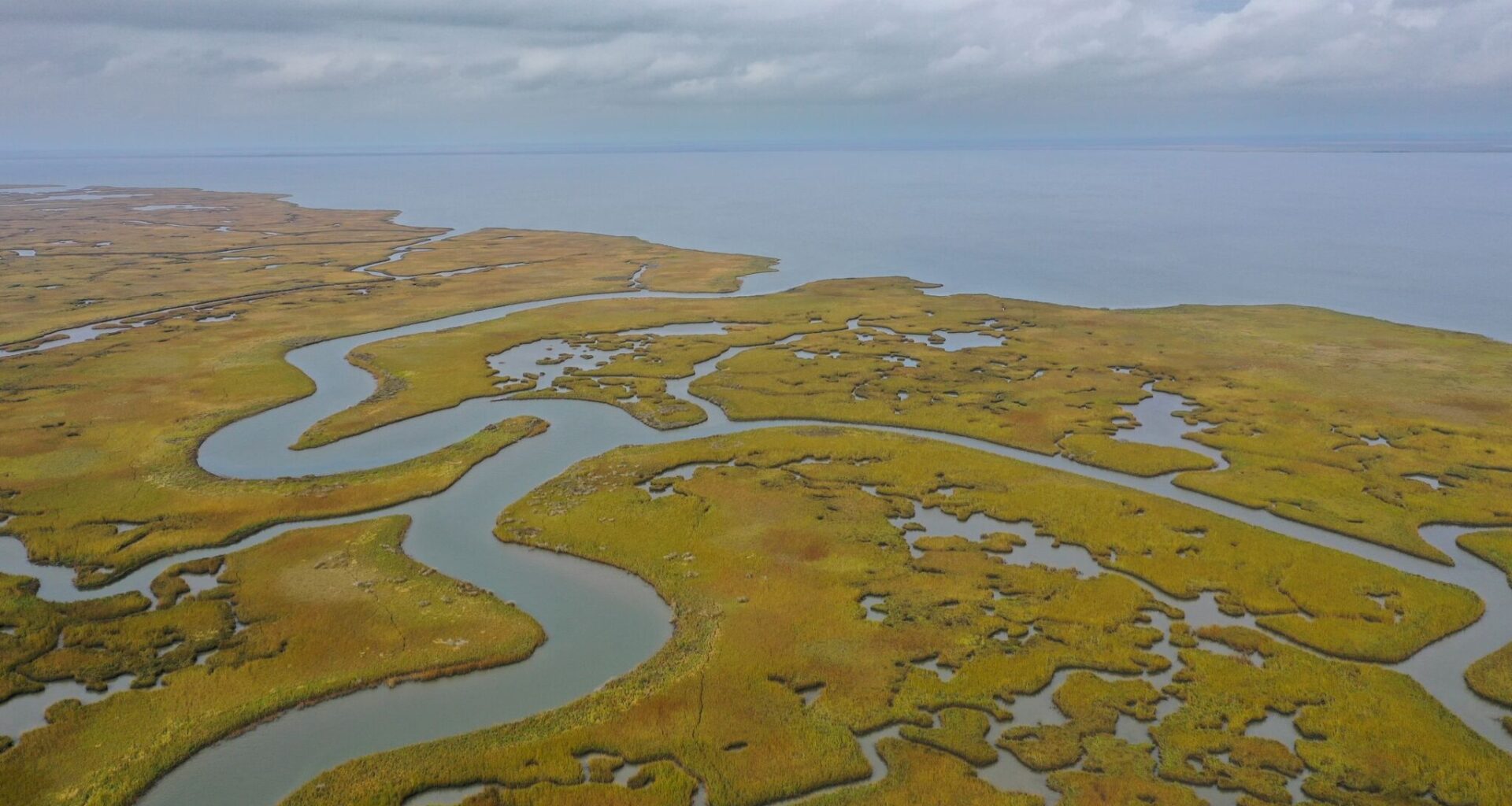 Texas conservation nonprofit acquires 1,500-acre island