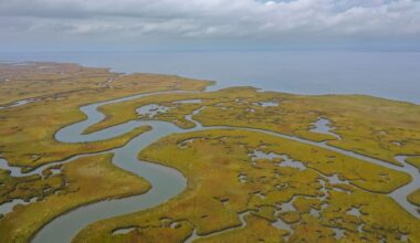 Texas conservation nonprofit acquires 1,500-acre island