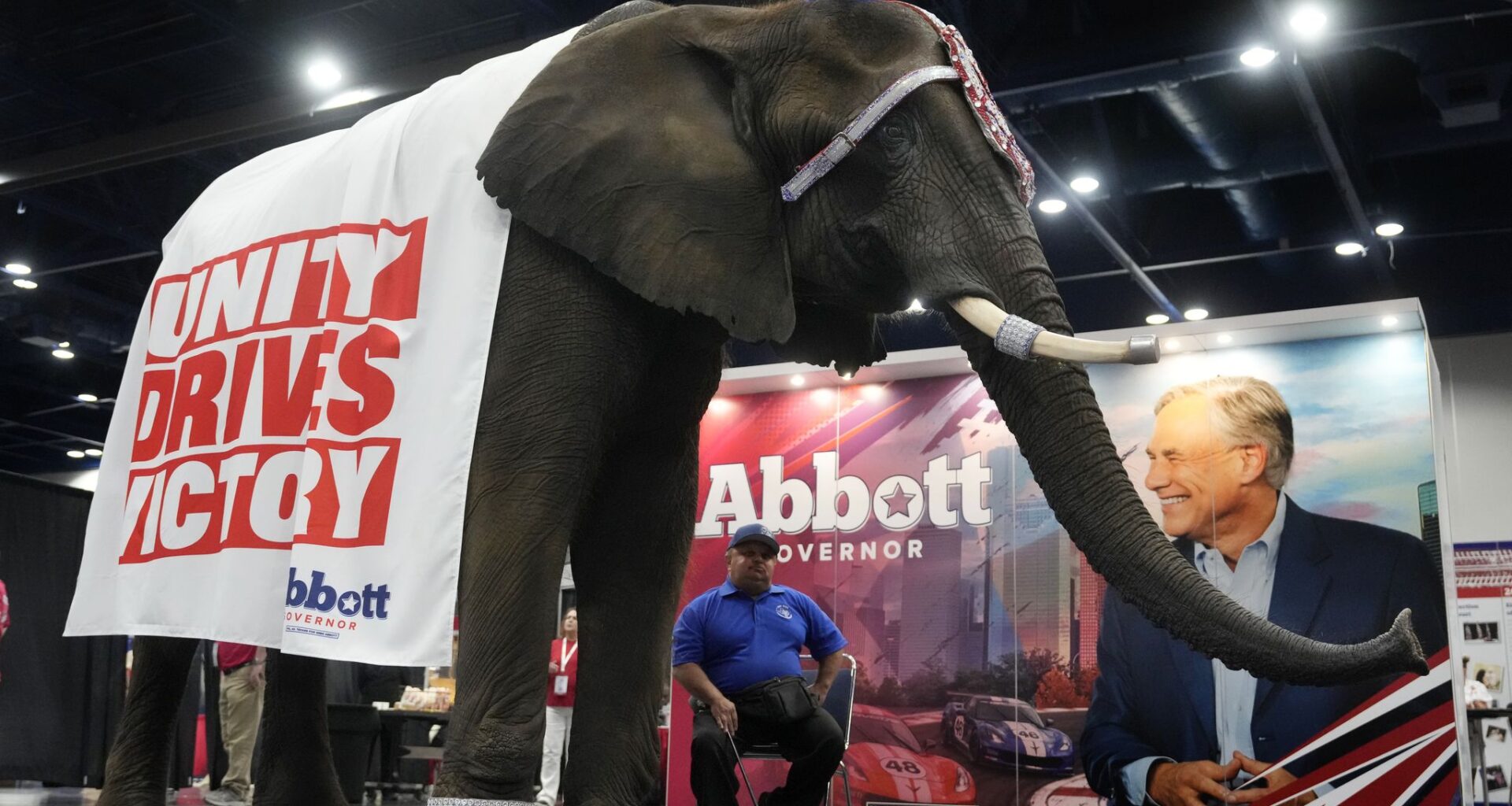 Paige the elephant is shown at Gov. Greg Abbott's booth during the Texas GOP convention June 12 in the George R. Brown Convention Center in Houston.