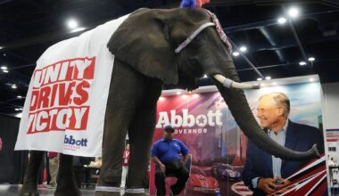 Paige the elephant is shown at Gov. Greg Abbott's booth during the Texas GOP convention June 12 in the George R. Brown Convention Center in Houston.