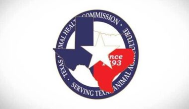 Texas confirms contagious equine virus case in Parker County donkey