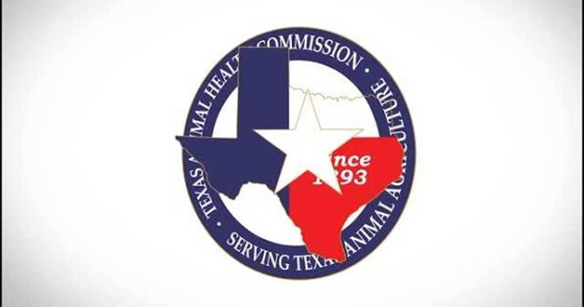 Texas confirms contagious equine virus case in Parker County donkey