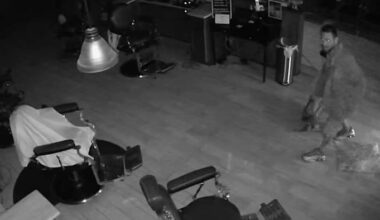 ‘You don’t think that’s going to happen here’: Alamo Heights shop owners hit by string of burglaries