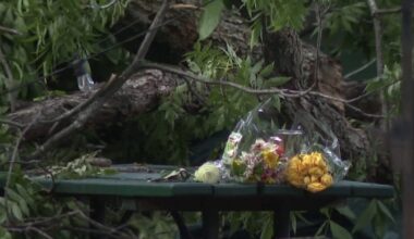 Lawsuit filed after falling tree kills man at Austin BBQ restaurant