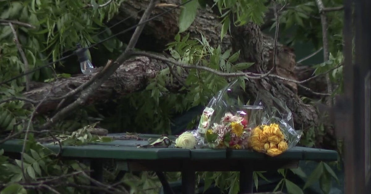 Lawsuit filed after falling tree kills man at Austin BBQ restaurant