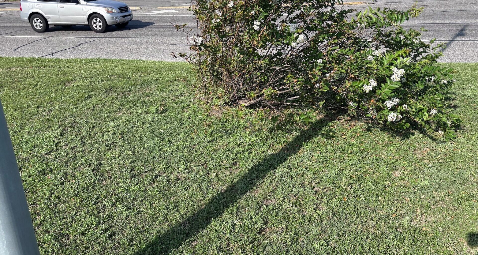 Embarrassing Texas Gulf Coast road sparks citizens to act
