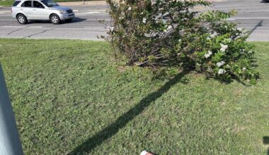 Embarrassing Texas Gulf Coast road sparks citizens to act