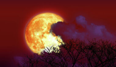 Strawberry Moon peaks over San Antonio on Monday