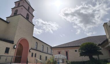 ICE releases a Texas nun intercepted walking to church dressed in her habit