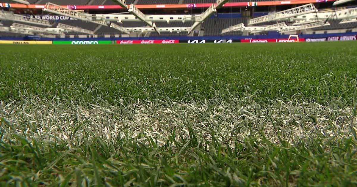How crews keep Dallas Stadium's indoor grass at an elite level