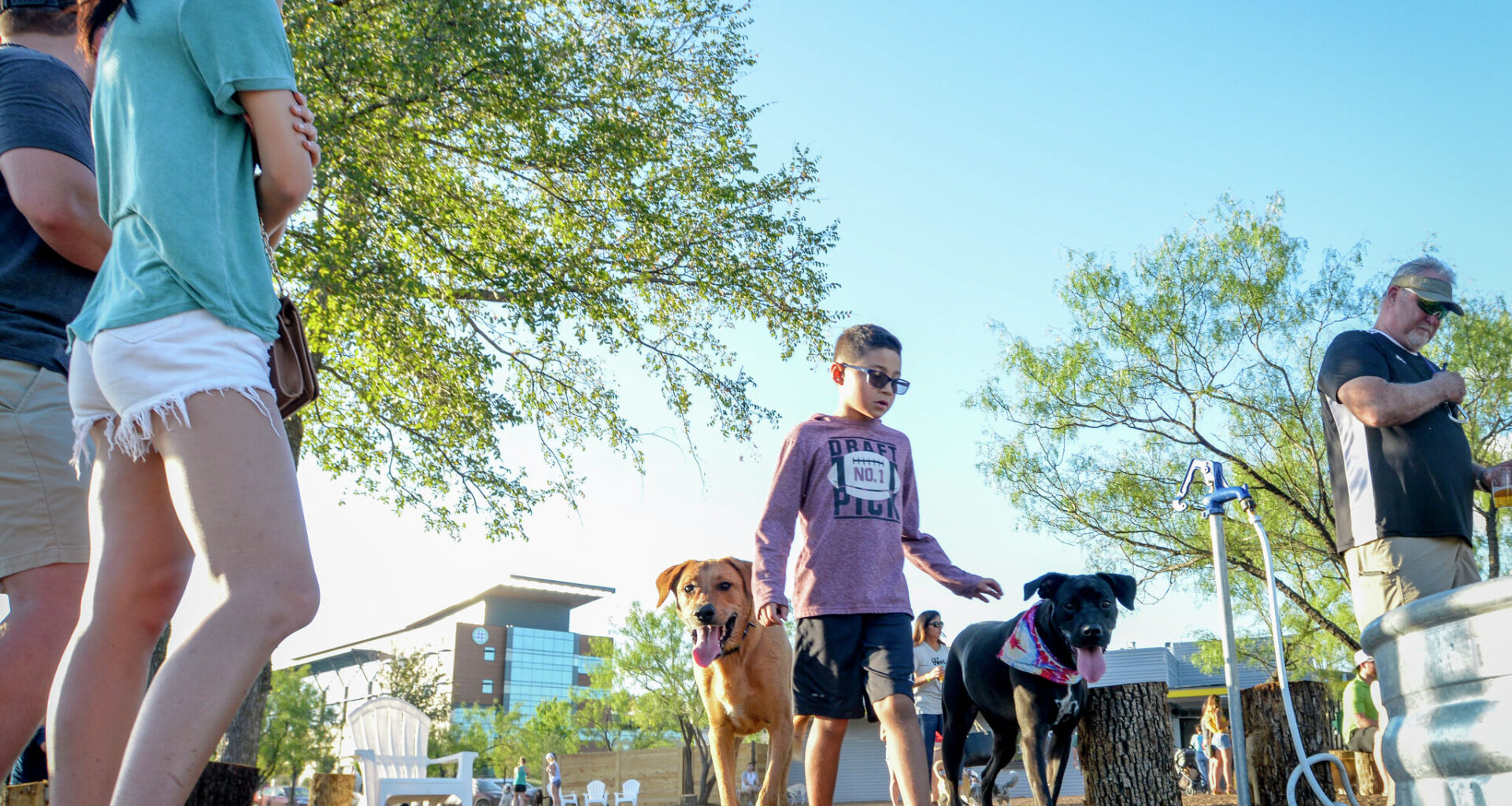 Dogs and their owners at Mutts Canine Cantina at Clearfork in Fort Worth, Texas on October 4, 2018. (Robert W. Hart/Special Contributor)