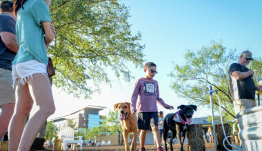 Dogs and their owners at Mutts Canine Cantina at Clearfork in Fort Worth, Texas on October 4, 2018. (Robert W. Hart/Special Contributor)