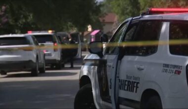 2 family dogs attack children on Northeast Side, BCSO says