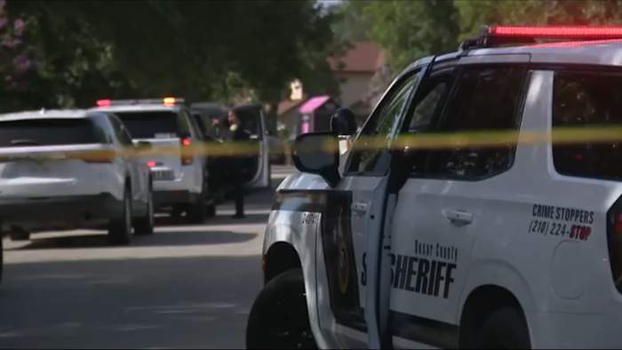 2 family dogs attack children on Northeast Side, BCSO says