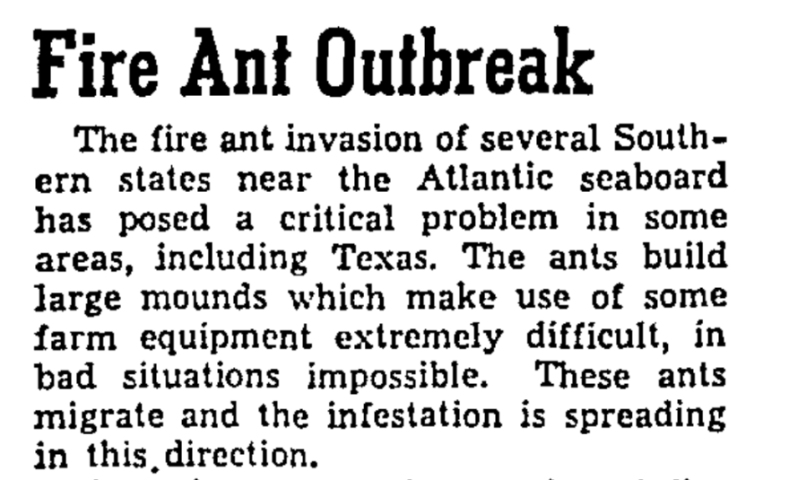 Screenshot of a news story about fire ants from the Austin American-Statesman in 1958